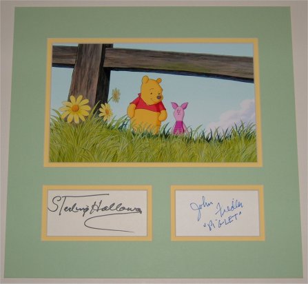 Winnie The Pooh Signed Display